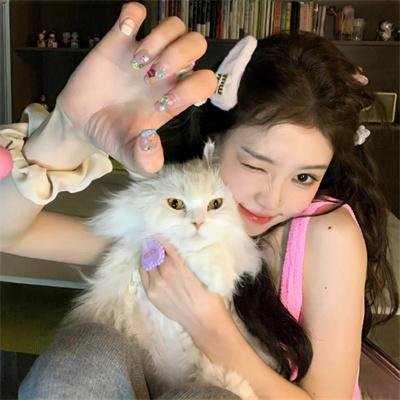 财富自由从每日情报开始